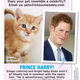 Image for article titled This Week In Tabloids: Gwen's Pregnant, Blake's the Daddy, and Miranda's So Pissed, Y'all
